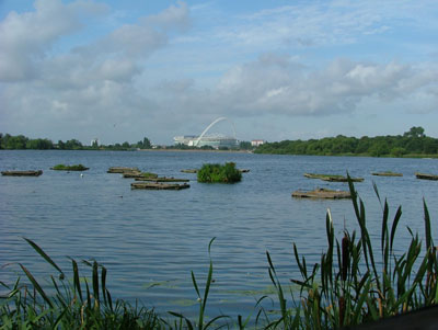 The Welsh harp